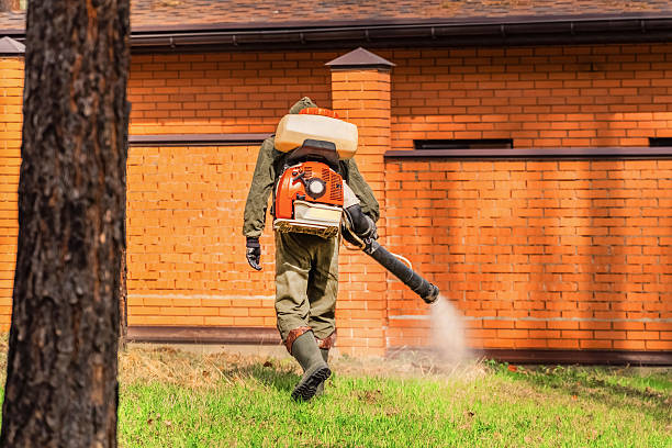 Trusted Cockroach Control service in Paradise Valley, AZ - Nex Pest Control